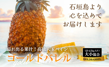 【先行予約】《2026年7月以降発送》石垣島産 ゴールドバレルパイン 「訳あり」大小混合セット SI-007
