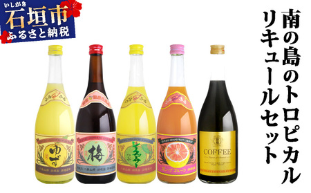 南の島のトロピカルリキュールセット AK-39