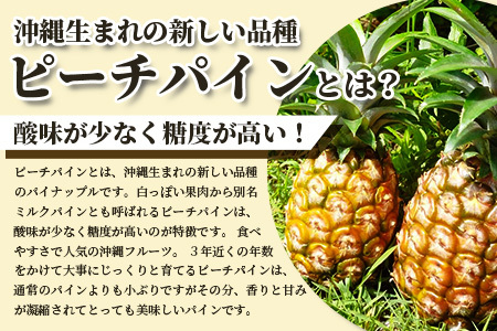 希少！濃厚！「枝先完熟・てのひらピーチパイン」2024年4月～7月順次発送【産地直送 沖縄県 石垣島 農家直送 パイン フルーツ 離島のいいもの 沖縄いいもの石垣島 】OI-2