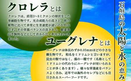 ≪そうめん≫そうめん≫石垣島のユーグレナ＆クロレラ入り乾麺(4セット入り化粧箱×１箱、合計４セット）※（1セットそうめん180ｇ1袋、特製つゆ2食入り）【そうめん ソーメン ユーグレナ 健康 美容 素麵 麺 沖縄県 沖縄 琉球 八重山 八重山諸島 石垣島 石垣 石垣島産  】AR-2