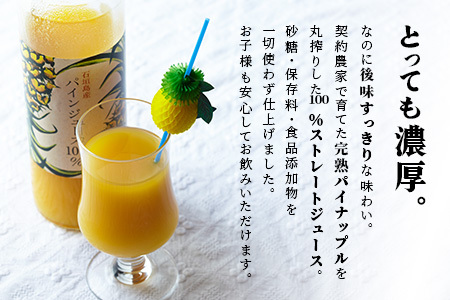 石垣島産パインジュース100％ E-1-1