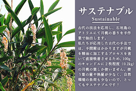 100%⽯垣島の⽉桃の⾹りで作ったアロマキャンドル MU-1 【沖縄県石垣市 沖縄 沖縄県 琉球 八重山 八重山諸島 石垣 石垣島 送料無料 アロマキャンドル アロマ キャンドル 月桃 国産】