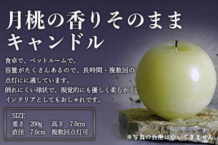 100%⽯垣島の⽉桃の⾹りで作ったアロマキャンドル MU-1 【沖縄県石垣市 沖縄 沖縄県 琉球 八重山 八重山諸島 石垣 石垣島 送料無料 アロマキャンドル アロマ キャンドル 月桃 国産】