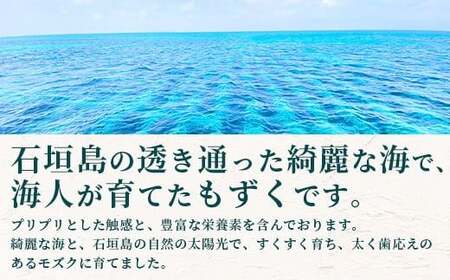 石垣島産 海人の味付け海雲(もずく) 1.5kg (250g×6)