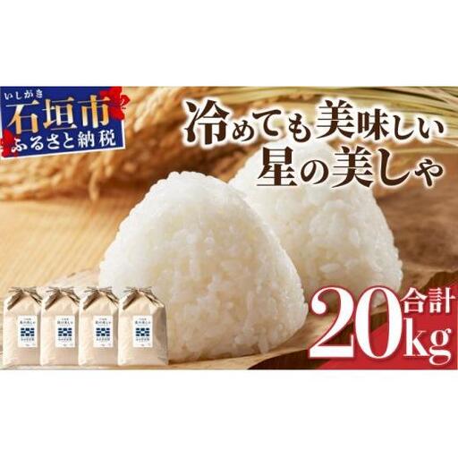 石垣島産 星の美しゃ（ほしのかいしゃ）20kg（5kg×4袋）【 日本一早い新米の産地 ふるさと納税 沖縄県 石垣市 石垣島 米 星 星の美しゃ】MK-5