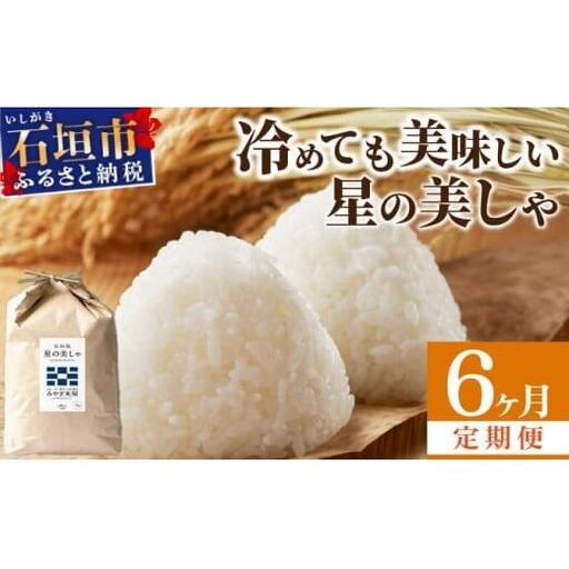 【定期便６回】6ヶ月連続お届け 石垣島産 星の美しゃ（ほしのかいしゃ）30kg（5kg×6回）【 日本一早い新米の産地 ふるさと納税 沖縄県 石垣市 石垣島 米 星 星の美しゃ】MK-7