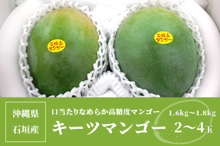 沖縄県石垣島産 キーツマンゴー 1.6kg～1.8kg【2～4玉】【口当たりが