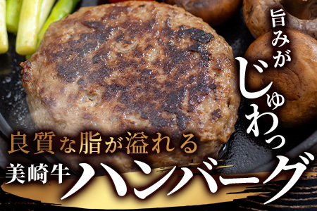 美崎牛ハンバーグ100g×10個【 お肉 美崎牛 ハンバーグ 牛肉 肉 】O-6