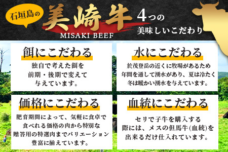 美崎牛ハンバーグ100g×10個【 お肉 美崎牛 ハンバーグ 牛肉 肉 】O-6