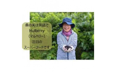 沖縄ナンデンシー(500ml×2本)