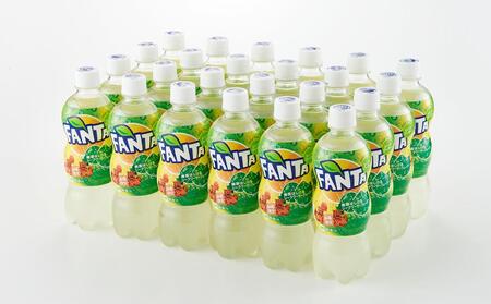 【沖縄限定販売！】ファンタ　シークワーサー　500ml×24本　｜シークワ―サー　ファンタ