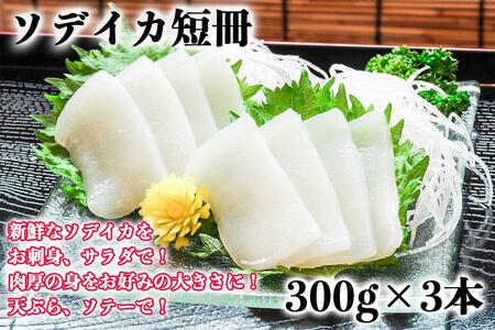 【沖縄県産 巨大イカ】ソデイカ短冊｜イカ