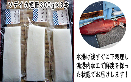 【沖縄県産 巨大イカ】ソデイカ短冊｜イカ