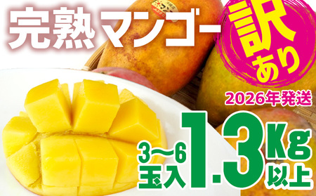 【2026年発送】【訳あり品】共選完熟マンゴー1.3kg以上(3~6玉) 訳アリ マンゴー まんごー 果物 くだもの 果実 お取り寄せ 送料無料 沖縄県産 産地直送 アーウィン 人気 自分用 甘味 県産 ご当地 やんばる ふるさと納税 名護市