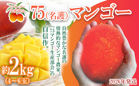 2026年発送【75マンゴー生産部会】 75（名護）マンゴー 約2kg