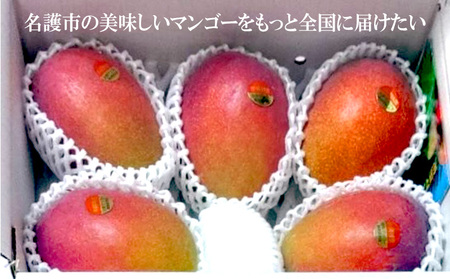 2026年発送【75マンゴー生産部会】 75（名護）マンゴー 約2kg