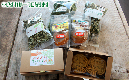 沖縄県やんばる産！朝日のそばで育った地採れ野菜や果物とオリジナル商品詰め合わせ6種類以上 野菜 食材 果物 詰め合わせ 旬 セット商品 フードロス 生産者応援 沖縄 名護市 季節もの やさい くだもの わんさか 大浦パーク 生産過多 オリジナル商品 やんばる 生産者支援 新鮮