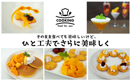 【2026年発送】親川マンゴーのミニアップルマンゴー　家庭用　1.3kg以上 アップル マンゴー 夏 冷蔵 おすすめ 人気 スイーツ デザート 果実 果物 フルーツ 南国 沖縄 おきなわ ジュース シャーベット アイス お土産 おみやげ 家庭