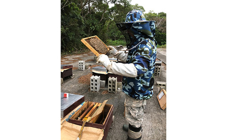 沖縄のやんばるで採れた非加熱はちみつ200g【Gentle Honey】 名護 なご 沖縄 おきなわ ハチミツ 県産 国産 自然 こだわり あまい 手作り 加工品 おいしい 美味しい はちみつ やんばる みつ 南国 まろやか 旨味