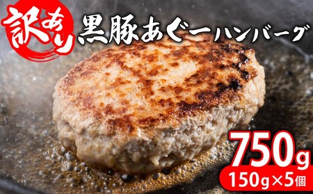 【訳あり】あぐー豚肉ハンバーグ　750g（150g×5個） 簡易包装シリーズ【黒豚あぐー】 訳アリ 豚 簡易包装 SDGS ハンバーグ あぐー 名護市 銘柄豚肉 簡単調理 簡単料理 おかず 食品 国産 県産 真空パック 沖縄 おきなわ 送料無料 やんばる 人気