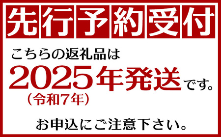 【2025年 先行予約】名護市産タンカン10キロ（秀品・白箱）【令和7年】 たんかん なご 国産 県産 おきなわ 厳選 みかん ギフト 甘い あまい 魅力 お土産 食べ物 美味しい 取り寄せ ご当地 オキナワ 南国 トロピカル 旨味