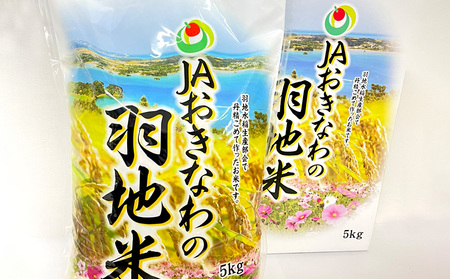 令和6年産　羽地米(ひとめぼれ)　5kg 名護 米 こめ おこめ 国産 沖縄 食品 おにぎり おいしい 独特 お取り寄せ 真空袋 食べ物 美味しい 自然 ご当地 県産 南国 なご 旨味