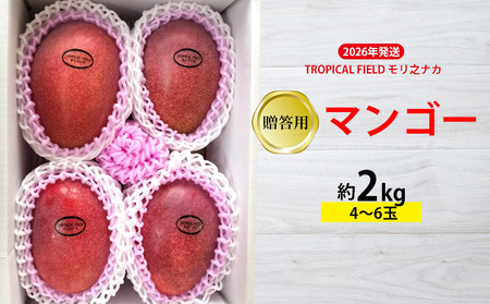 2026年発送【TROPICAL FIELD モリ之ナカ】贈答用マンゴー約2kg（4～6玉） フルーツ 果物 期間限定 数量限定 先行予約 南国 プレゼント お土産 おみやげ ギフト くだもの 沖縄 おきなわ 青果 デザート おすすめ 人気 冷蔵 夏 スイーツ