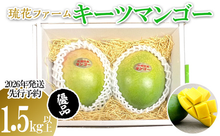 マンゴー【2026年発送先行予約】キーツマンゴー優品1.5kg以上