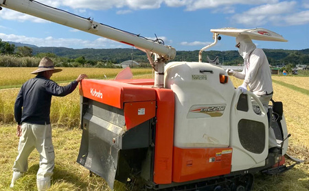 泉又米(いじゅまためー)精米3kg お米 稲 美味しい 新米 沖縄県 おきなわ 名護市 甘い ギフト プレゼント 贈り物 贈答 人気 おにぎり おかゆ リゾット ごはん ご飯 ライス おすすめ