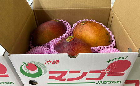 【2026年発送】【訳あり品】共選完熟マンゴー900g以上（2～4玉） 訳アリ マンゴー まんごー 果物 くだもの 果実 お取り寄せ 送料無料 沖縄県産 産地直送 アーウィン 人気 自分用 甘味 県産 ご当地 やんばる ふるさと納税