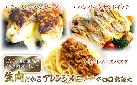 ハンバーグ【3ヵ月定期便】【訳あり】あぐー豚肉ハンバーグ 750g