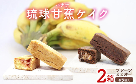 琉球甘蕉ケイク2箱(プレーン・カカオ)各5個入 沖縄 おきなわ おかし お菓子 バナナ アップルバナナ ばなな 伝統 特産品 ふるさと納税 送料無料 名護市 なご スイーツ お土産 お取り寄せ 人気 カカオ かかお
