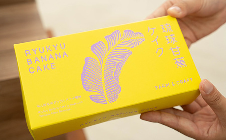 琉球甘蕉ケイク2箱(プレーン・カカオ)各5個入 沖縄 おきなわ おかし お菓子 バナナ アップルバナナ ばなな 伝統 特産品 ふるさと納税 送料無料 名護市 なご スイーツ お土産 お取り寄せ 人気 カカオ かかお