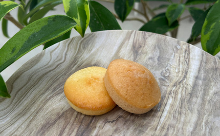 PINKフィナンシェ1箱（7個入） 沖縄 おきなわ おかし お菓子 焼き菓子 しっとり 人気 ふるさと納税 送料無料 お土産 お取り寄せ スイーツ 名護市 なご 7個入り シークワァーサー マンゴー バナナ