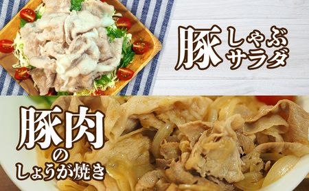 チャ―グー4種食べ比べ1kg（250g×4P） 沖縄 チャーグー アグー ブランド豚 旨み ジューシー ヘルシー 沖縄料理 しゃぶしゃぶ ステーキ ロースカツ バラ モモ ウデ ロース 豚肉 人気 高校生 小分け 豚しゃぶ