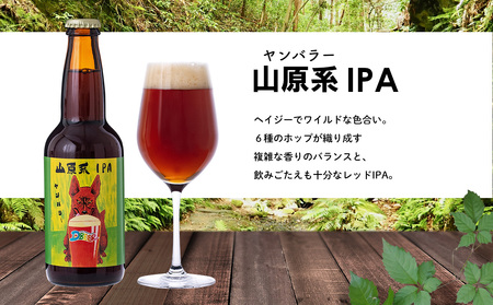 イルカの町のクラフトビール　6本セット クラフト クラフトビール ビール お酒 アルコール 瓶ビール オリジナル 人気 おすすめ オススメ 贈答 ギフト 贈り物 父の日 敬老の日 プレゼント 沖縄 乾杯 お祝い ランキング