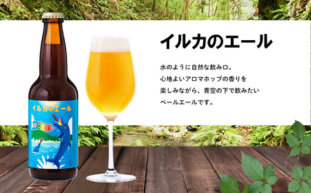 イルカの町のクラフトビール　6本セット クラフト クラフトビール ビール お酒 アルコール 瓶ビール オリジナル 人気 おすすめ オススメ 贈答 ギフト 贈り物 父の日 敬老の日 プレゼント 沖縄 乾杯 お祝い ランキング