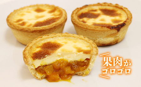 マンゴーチーズタルト　1箱(5個セット) おきぽた チーズタルト マンゴー スイーツ 専門店 OKIPOTA 洋菓子 焼き菓子 タルト生地 果肉 贅沢 高級 人気 おすすめ お土産 ギフト プレゼント 贈り物 沖縄 お取り寄せ