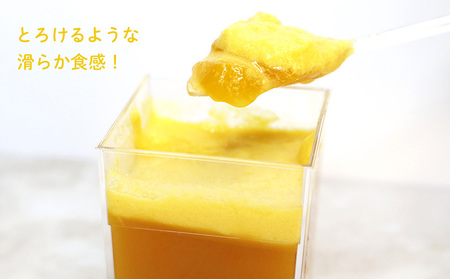 プリン・ス・マンゴー　1箱(9個セット) おきぽた プリン マンゴー スイーツ 専門店 贅沢プリン トロピカルプリン マンゴープリン 濃厚 新食感 絶品 ロングランセラー 人気 おすすめ 沖縄 お土産 プレゼント 贈り物 ギフト お取り寄せ