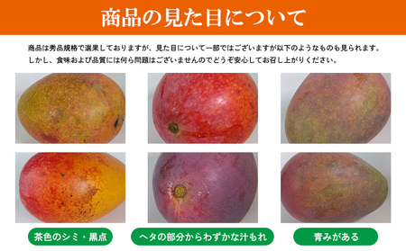 マンゴー【2026年発送】マンゴー家庭用 約1kg