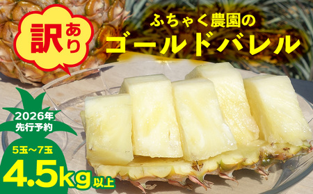 【2026年先行予約】【訳あり】ふちゃく農園のゴールドバレル4.5kg以上 パイン パイナップル パインアップル 高級パイン 沖縄県産パイン フルーツ 南国フルーツ トロピカルフルーツ 高級フルーツ 果物 くだもの 果実 デザート 甘い 人気 プチギフト 産地直送 国産 沖縄 名護市