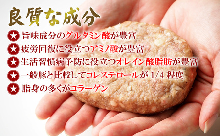 絶品！沖縄県産やんばる島豚あぐー豚100％ 肉汁たっぷりハンバーグ　（150g×10個）