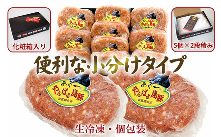 絶品！沖縄県産やんばる島豚あぐー豚100％ 肉汁たっぷりハンバーグ　（150g×10個）