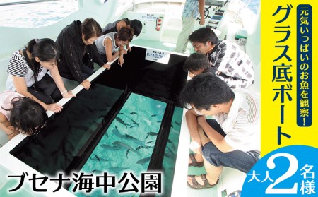 元気いっぱいのお魚を観察！グラス底ボート　大人2名様【ブセナ海中公園】