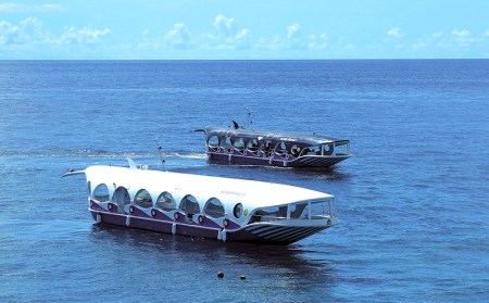 元気いっぱいのお魚を観察！グラス底ボート　大人2名様【ブセナ海中公園】