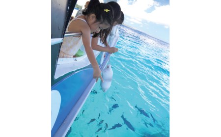 元気いっぱいのお魚を観察！グラス底ボート　大人2名様【ブセナ海中公園】