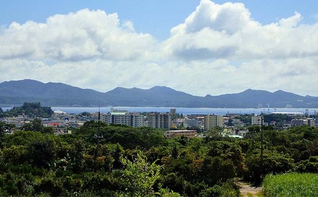 マンゴー 2026年発送【ファーム又吉】A級品アップルマンゴー 約2kg