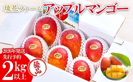 マンゴー【2026年発送先行予約】アップルマンゴー優品2kg以上