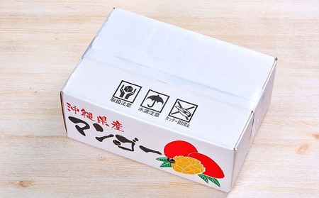 マンゴー【2026年発送先行予約】アップルマンゴー優品2kg以上