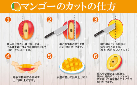 マンゴー【2026年発送先行予約】アップルマンゴー優品2kg以上